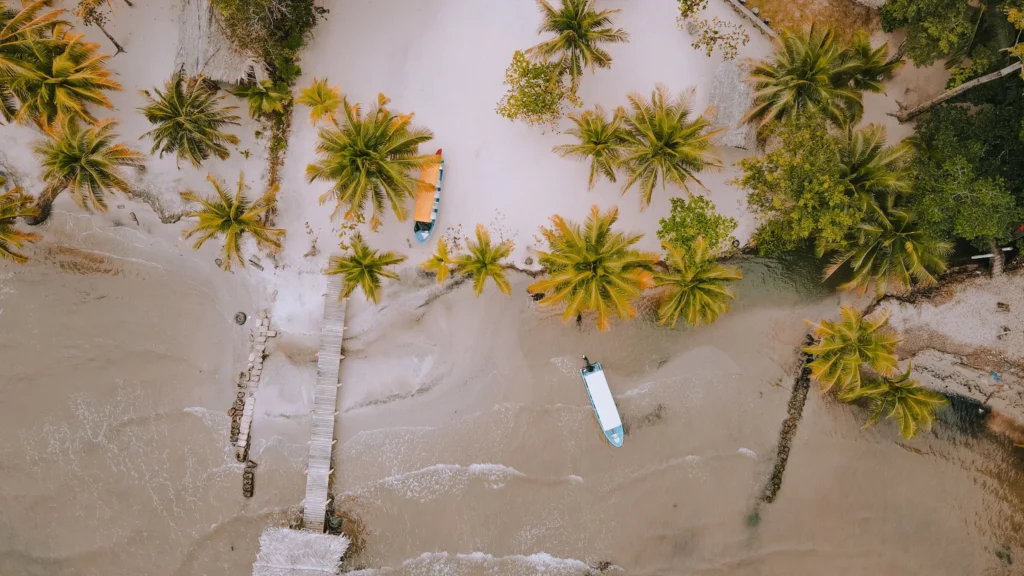 Palmen und Sand von oben